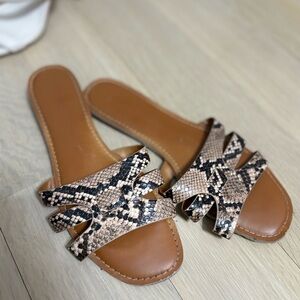 Express snake slides